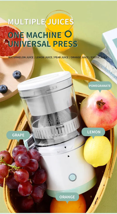 Rechargeable Mini Fruit Blender