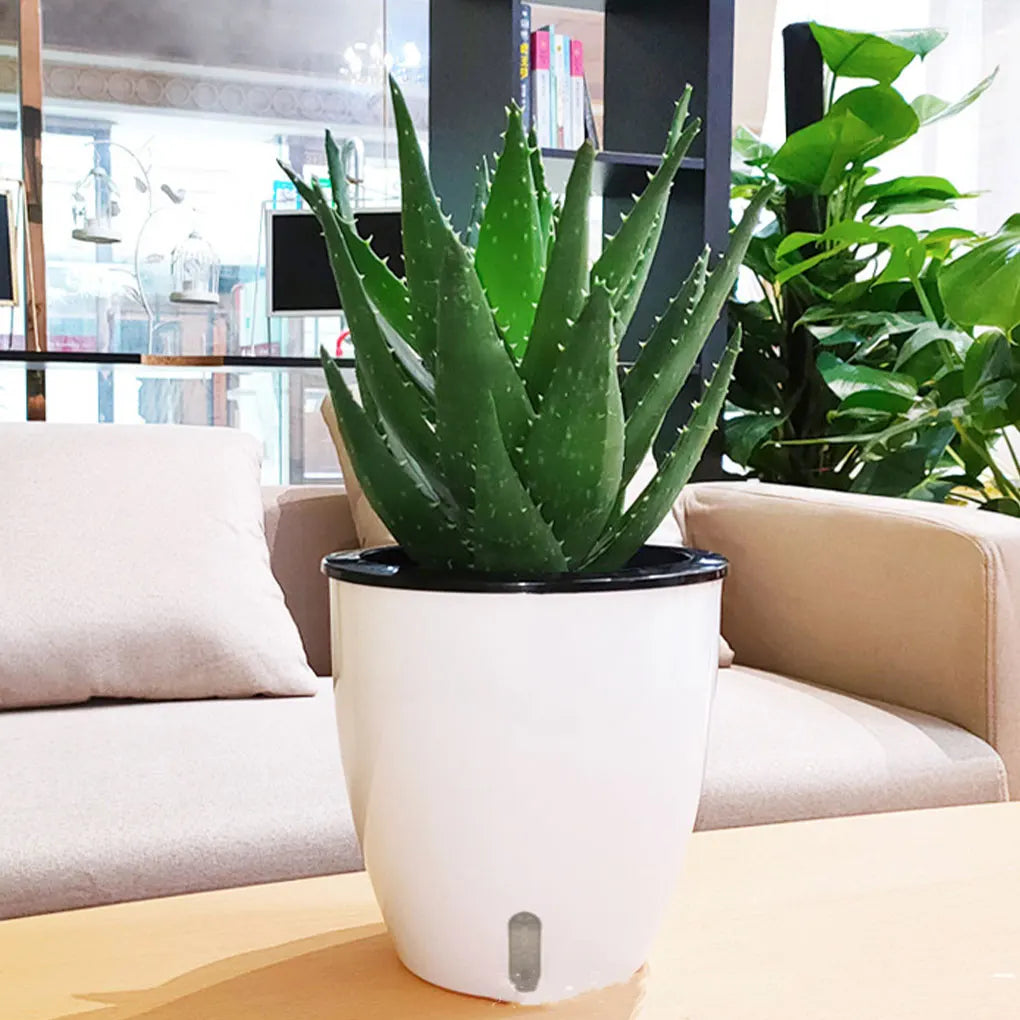 Self-Watering Flower Pot