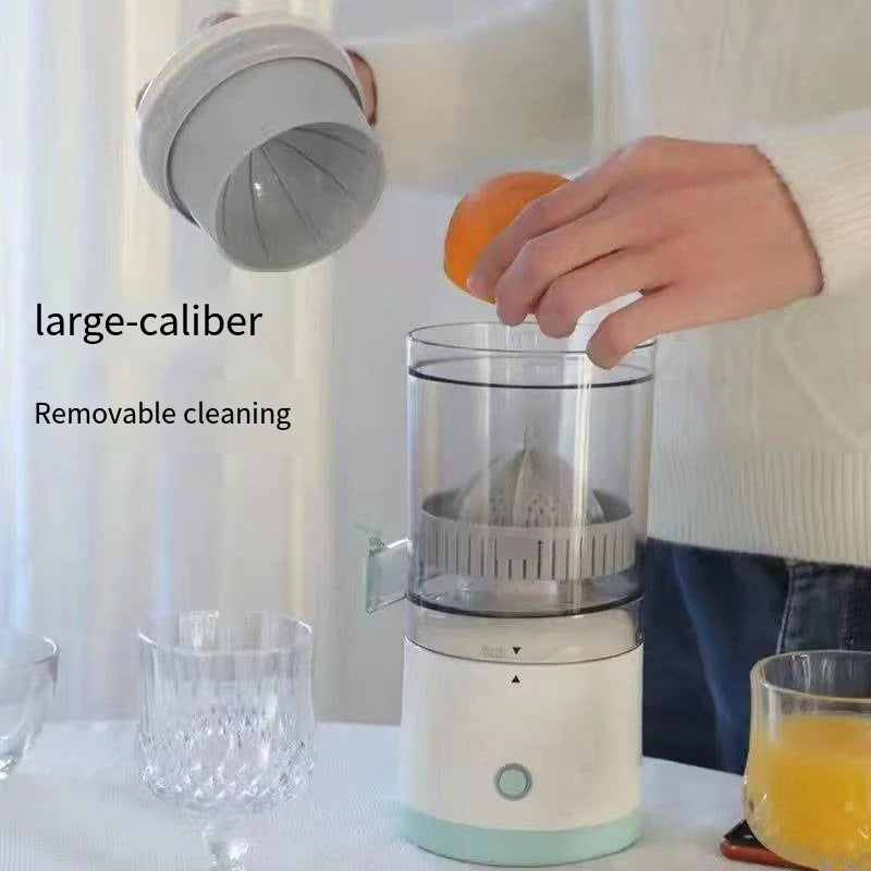 Rechargeable Mini Fruit Blender