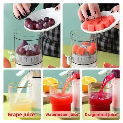 Rechargeable Mini Fruit Blender
