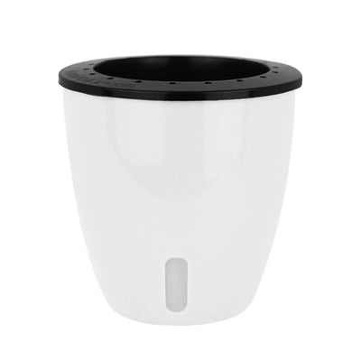 Self-Watering Flower Pot