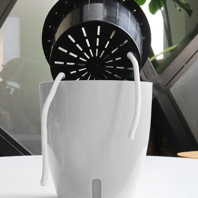 Self-Watering Flower Pot